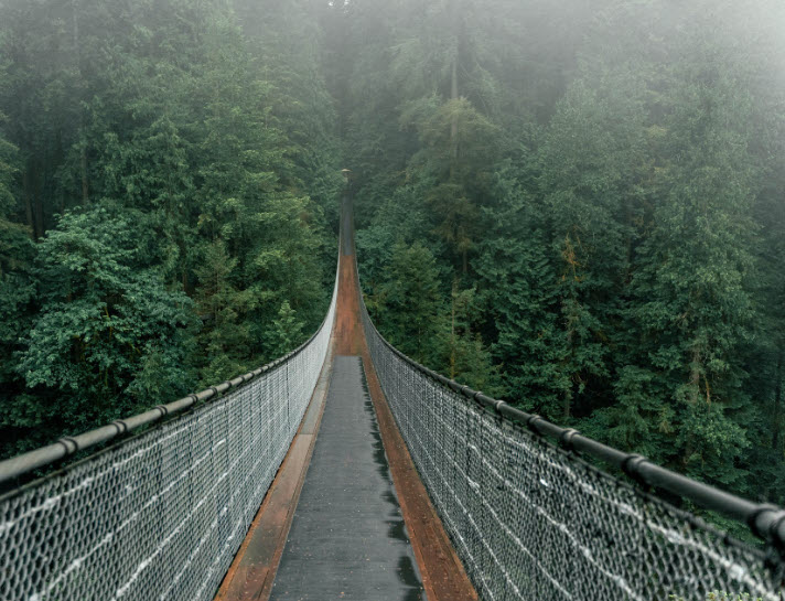 Capilano Bridge in Vancouver, British Columbia